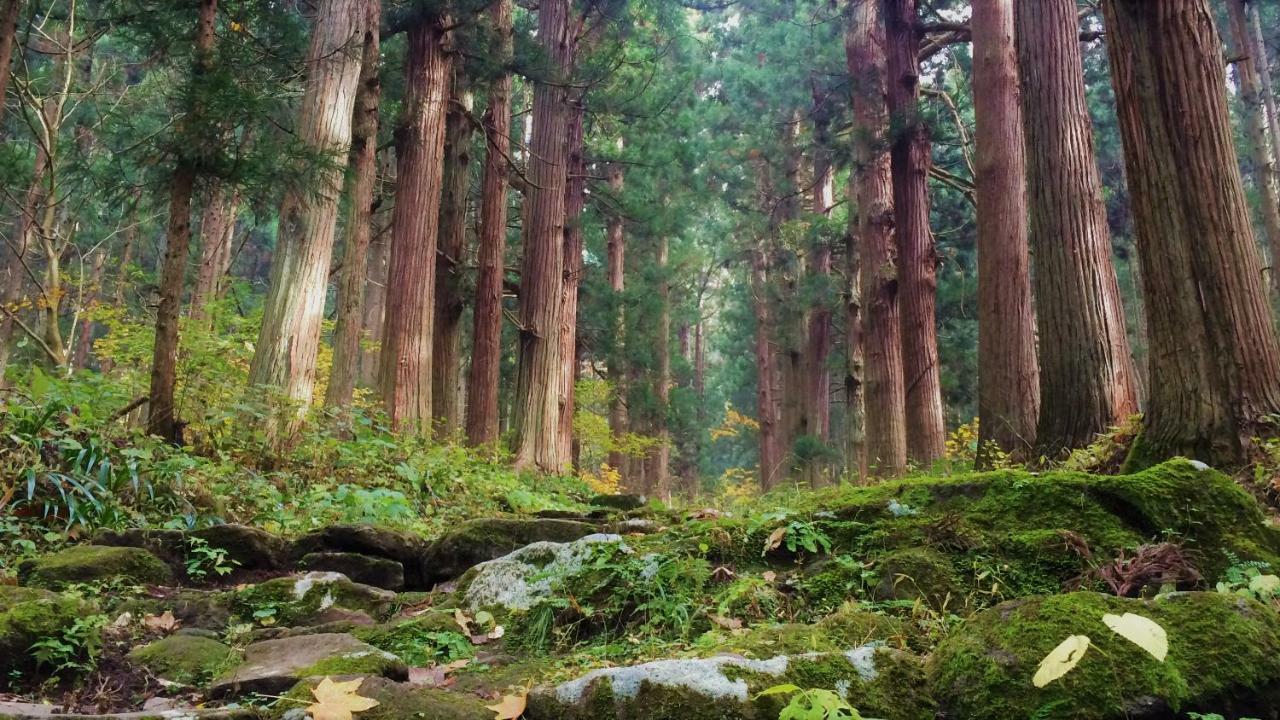 Blueberry Pension Madarao Iiyama Eksteriør bilde